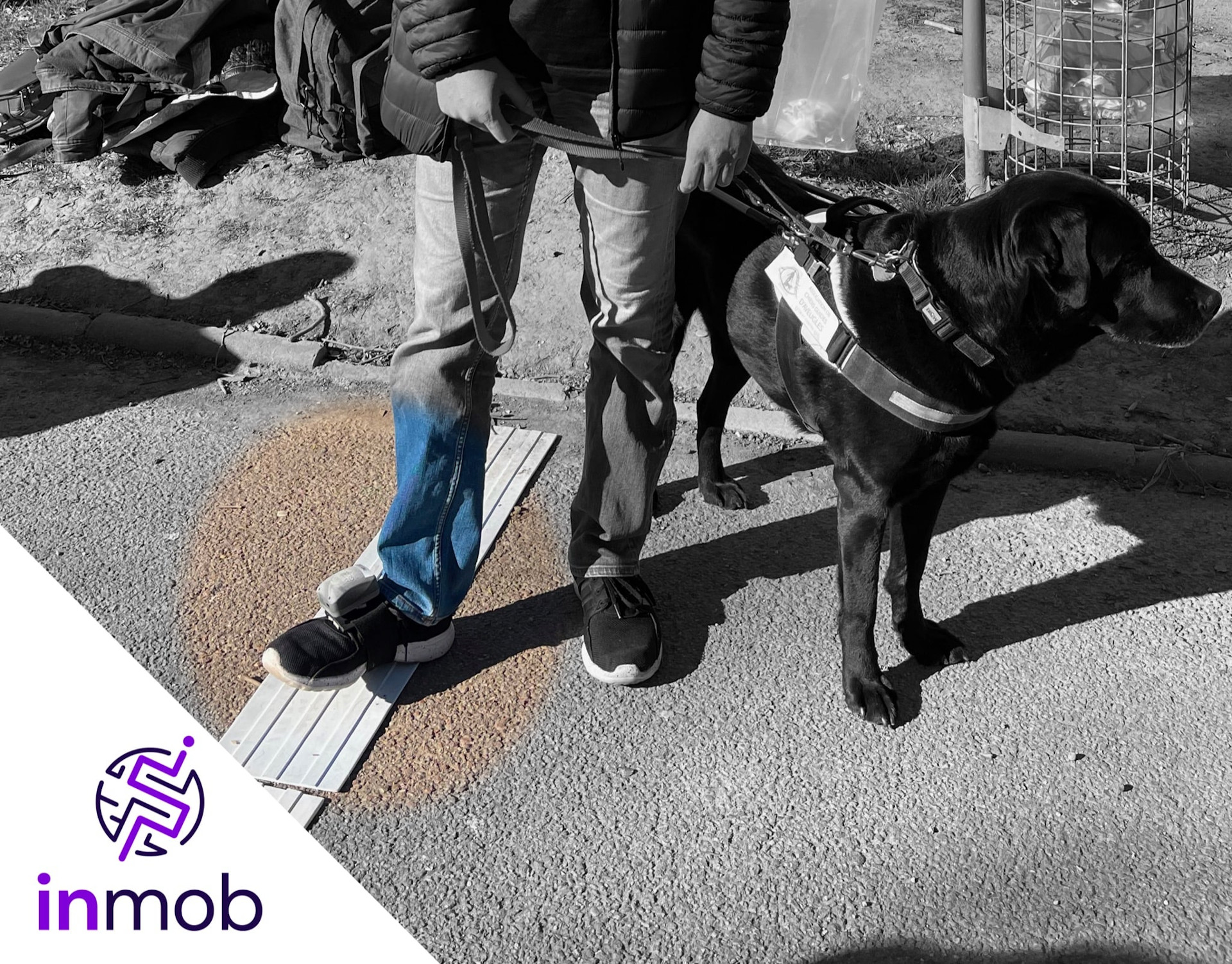 A visually impaired and his guide dog are part of the research led by GEOLOC Team and Okeenea Digital