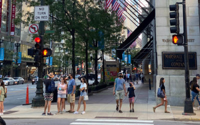 Blind and Visually Impaired Pedestrians: What Are Their Difficulties When Crossing the Street?